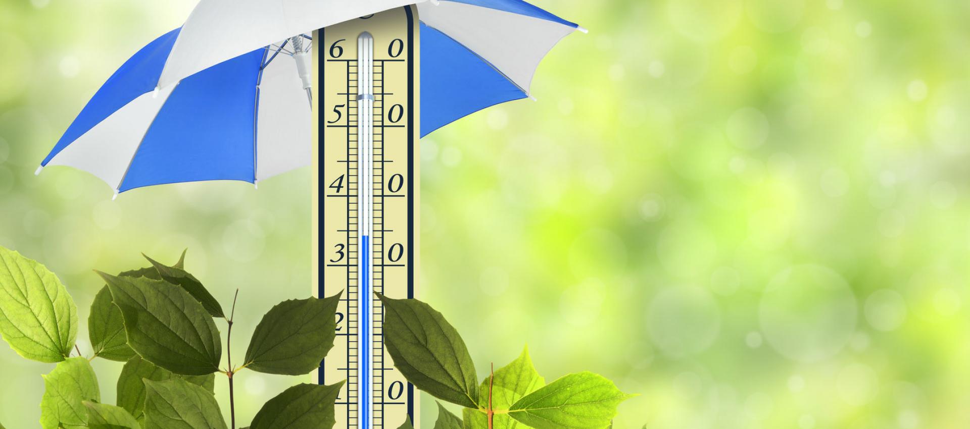 Temperature drops with window films