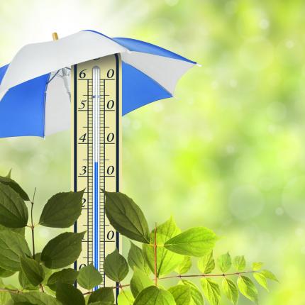 Temperature drops with window films